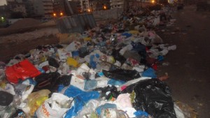 13569001_533458893511024_805517730621096524_o