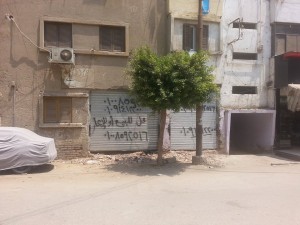 13664539_1017757544989144_1072447379_n