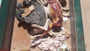 14088994_1077795438976442_1224187106_n