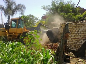 حملة القليوبية 5