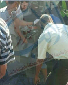 %d8%a7%d8%b3%d8%b9%d8%a7%d9%81-%d9%83%d9%81%d8%b1-%d8%a7%d9%84%d8%b4%d9%8a%d8%ae-2