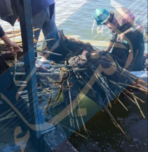 %d8%a7%d9%84%d8%a8%d8%b1%d9%84%d8%b3-%d9%84%d9%88%d8%ac%d9%88-1