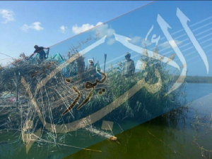 %d8%a7%d9%84%d8%a8%d8%b1%d9%84%d8%b3-%d9%84%d9%88%d8%ac%d9%88