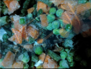 %d8%a8%d8%b3%d9%85%d8%a9-%d9%84%d9%88%d8%ac%d9%88-1