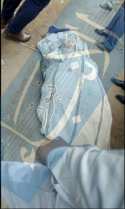 %d8%ac%d8%ab%d8%a9-%d8%a8%d8%a7%d9%84%d9%81%d9%8a%d9%88%d9%85-%d9%84%d9%88%d8%ac%d9%88