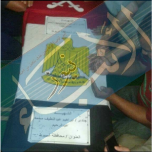 %d8%b4%d9%87%d9%8a%d8%af-%d8%a7%d8%b3%d9%8a%d9%88%d8%b7-%d9%84%d9%88%d8%ac%d9%88