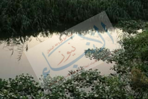 %d9%85%d8%b5%d8%b1%d9%81-%d8%a7%d9%84%d8%b2%d9%86%d8%a7%d8%b1-%d9%84%d9%88%d8%ac%d9%88