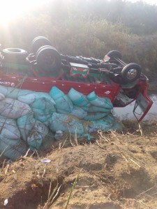 16700119_1799779980345726_1877655504_n