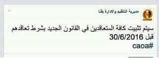 التنظيم والإدارة