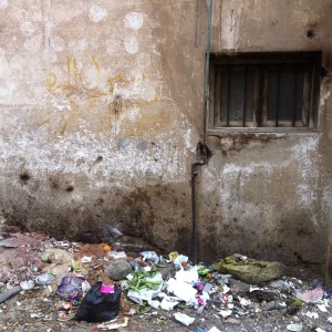 17274110_10202810880469040_1414856726_n