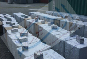 ضبط حاوية ترامادول لوجو