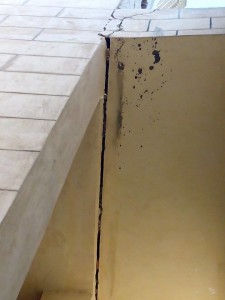 18902145_1867378810252509_210300092_n