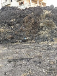 18922096_1091834284283392_8646982926688813013_n