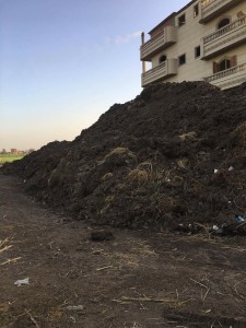 18952848_1091834477616706_7005809686087259473_n