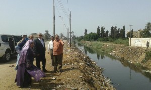 20032050_816914015137621_8400823452420386815_n