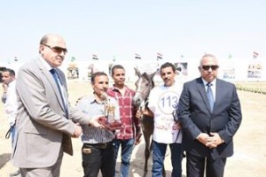 21740470_1471524626268595_349312876956320991_n