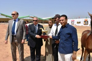 21743356_1471524566268601_8469280469938069547_n