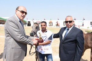 21751512_1471524699601921_2747350221469303476_n