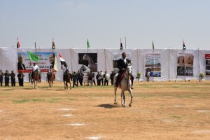 21751541_1471454949608896_234783285570909563_n