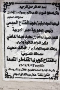 صورة 2