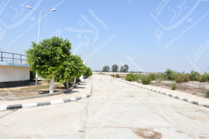 معالجة فاقوس 5