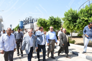 معالجة فاقوس 8