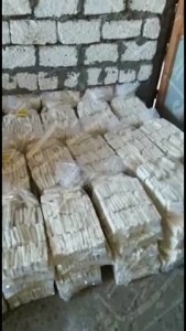 23667084_1469043219817223_452571845_n