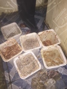 23667500_1469044456483766_560188705_n