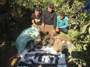 23845169_1473585922696286_1349467997_n