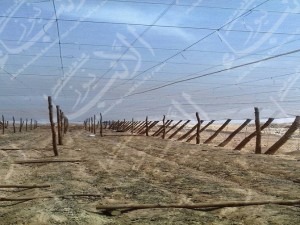 قبل الزراعة