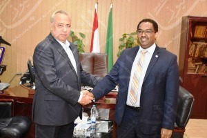 الفاو والفاقد 4