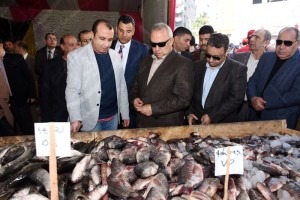 منفذ التحرير 2