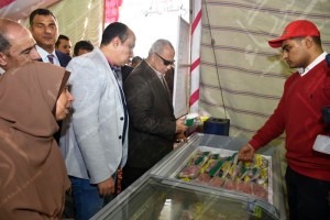 منفذ التحرير 5