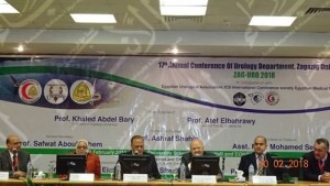 28233289_540596882962699_123690553_n