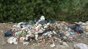 29356765_548526682183511_8408675023509782528_o