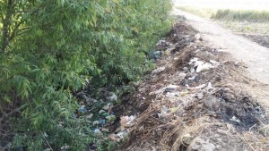 29468103_548526958850150_569571646235475968_o