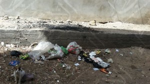 30867703_1619040028150874_90053952_o