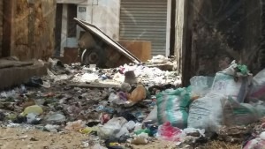 31269325_1619039941484216_2022306300_o