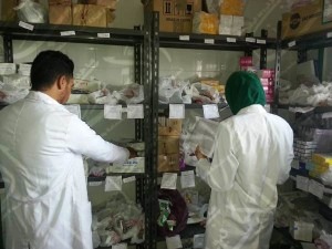 37064514_1785881454832909_7527456341208596480_n